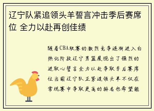 辽宁队紧追领头羊誓言冲击季后赛席位 全力以赴再创佳绩